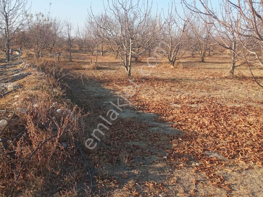 afyonkarahisar sultandagi satilik arsa fiyatlari ve ilanlari