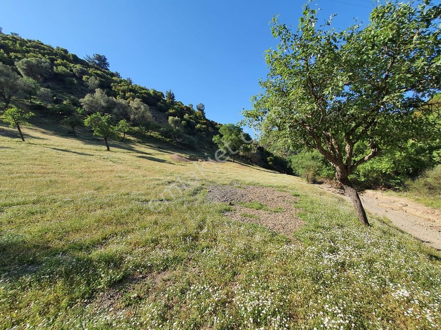 izmir karabaglar satilik arsa fiyatlari ve ilanlari