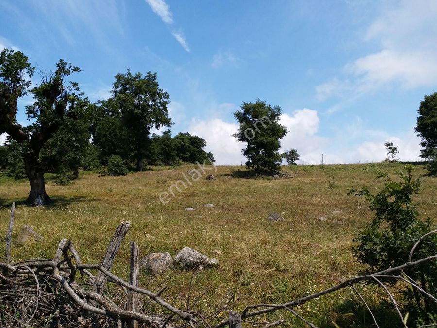 canakkale yenice satilik arsa fiyatlari ve ilanlari