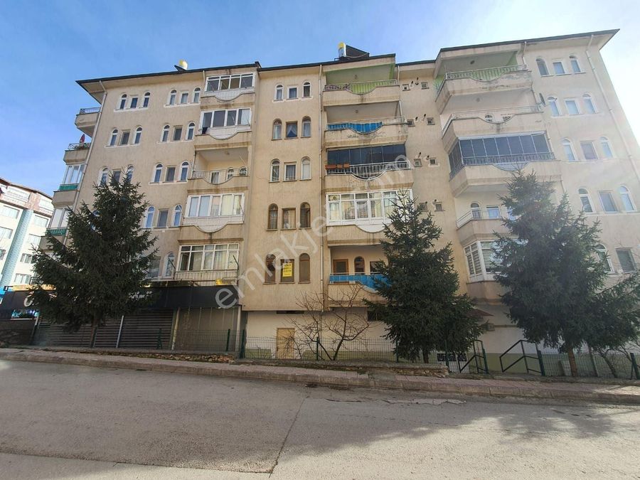 tokat tokat merkez kiralik daire emlakjet