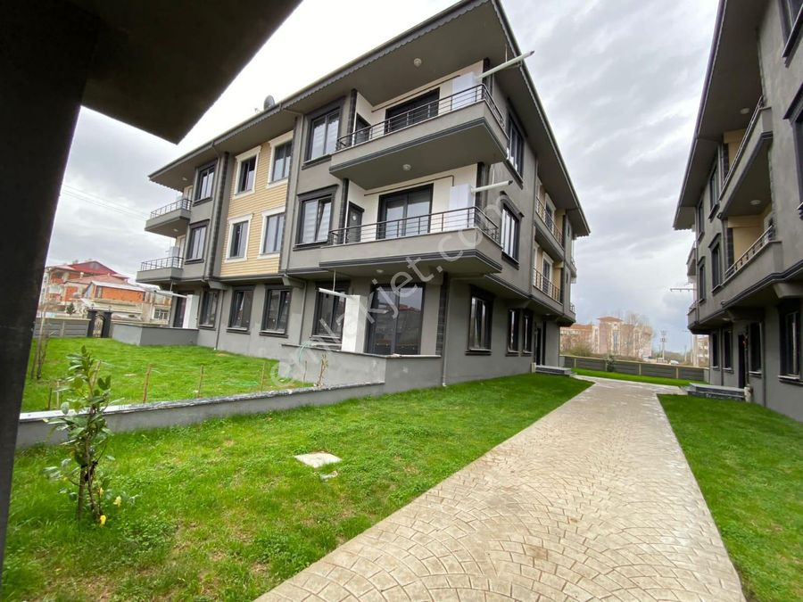 h elvjn5gtqalm h elvjn5gtqalm