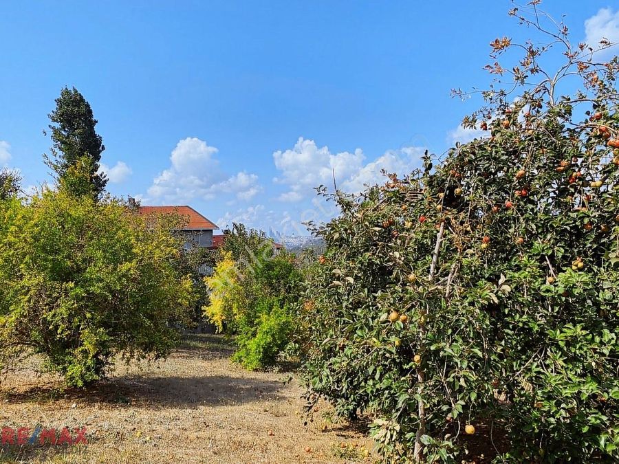 beykoz cumhuriyet köyü satılık ev