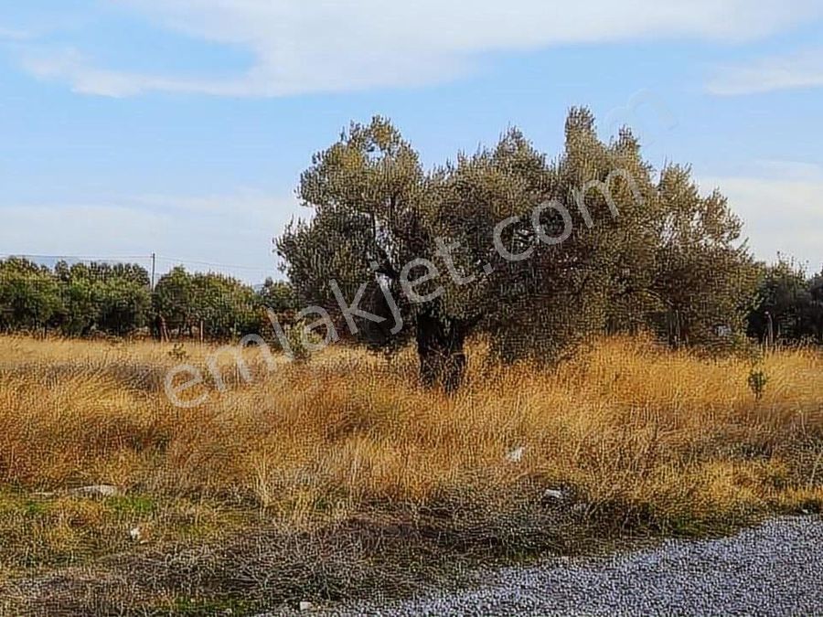 manisa akhisar satilik ev imarli ilanlari ve fiyatlari manisa akhisar satilik ev imarli ilanlari ve fiyatlari