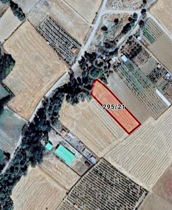 glpopogmpmydbm glpopogmpmydbm