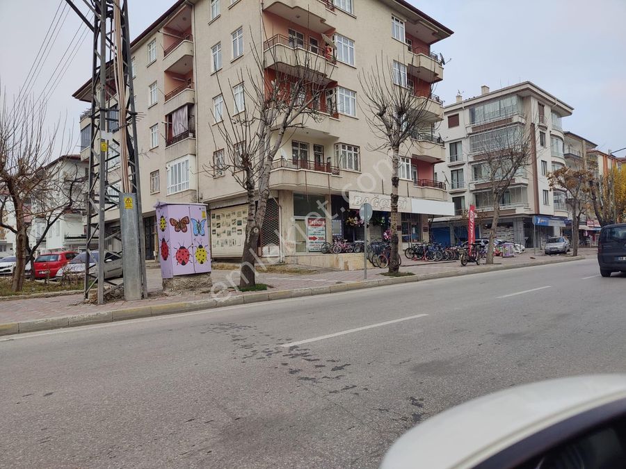 5 erkek 1 kız