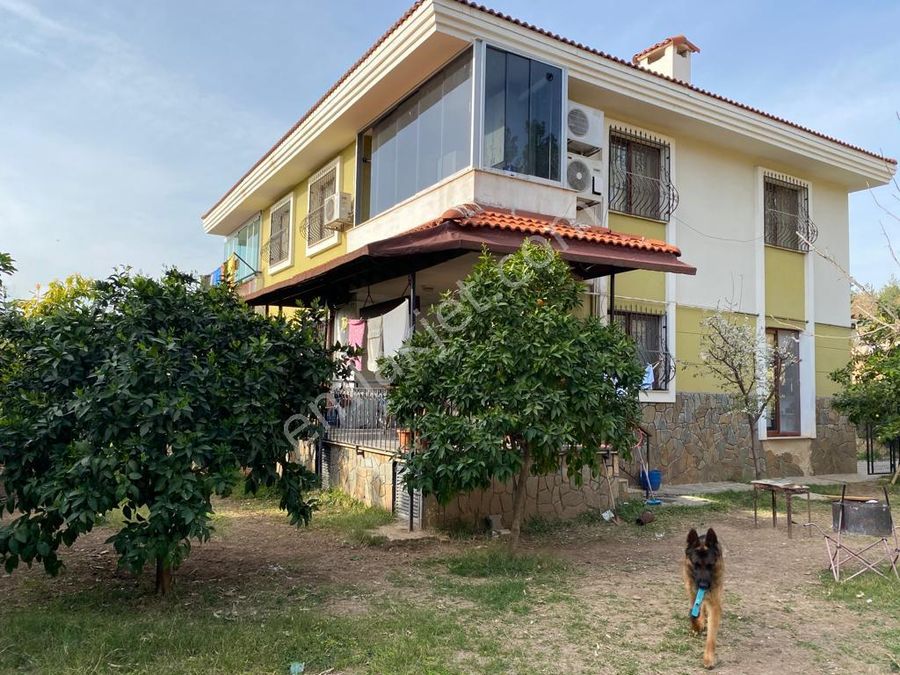kızlarla tanışmaya nasıl başlanır 1 garip ak