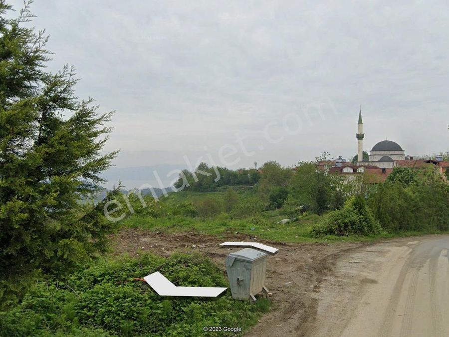 denizli sevgililer günü hediyesi