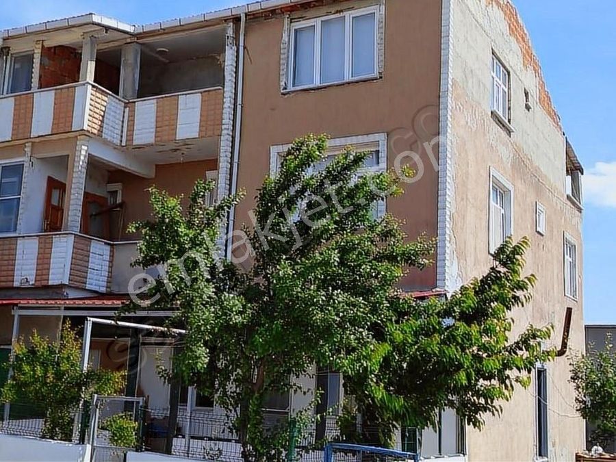 craig in krallığı izle azgın porno seyret