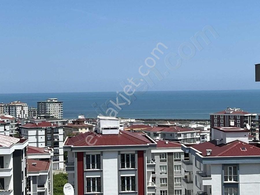 karaca ev hediyesi mehmetçiğe mektup örnekleri kısa