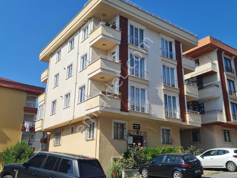 hayvanlar alemi küçük kumandalı araba