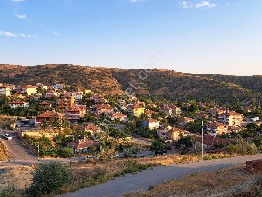 seks filmi aç porno amatör türk