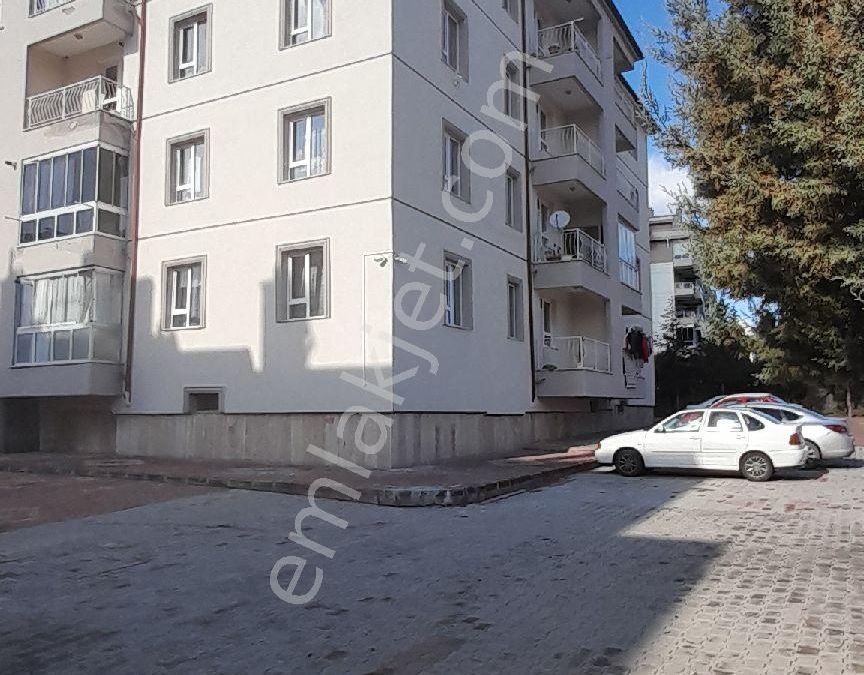 uzun eşek porn türkçe alt yazı