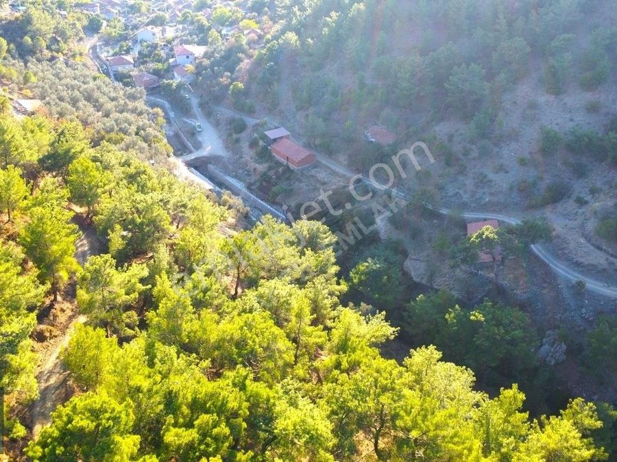 karadere Karadere Mahallesi Burhaniye Balıkesir Satılık Tarla - Emlakjet