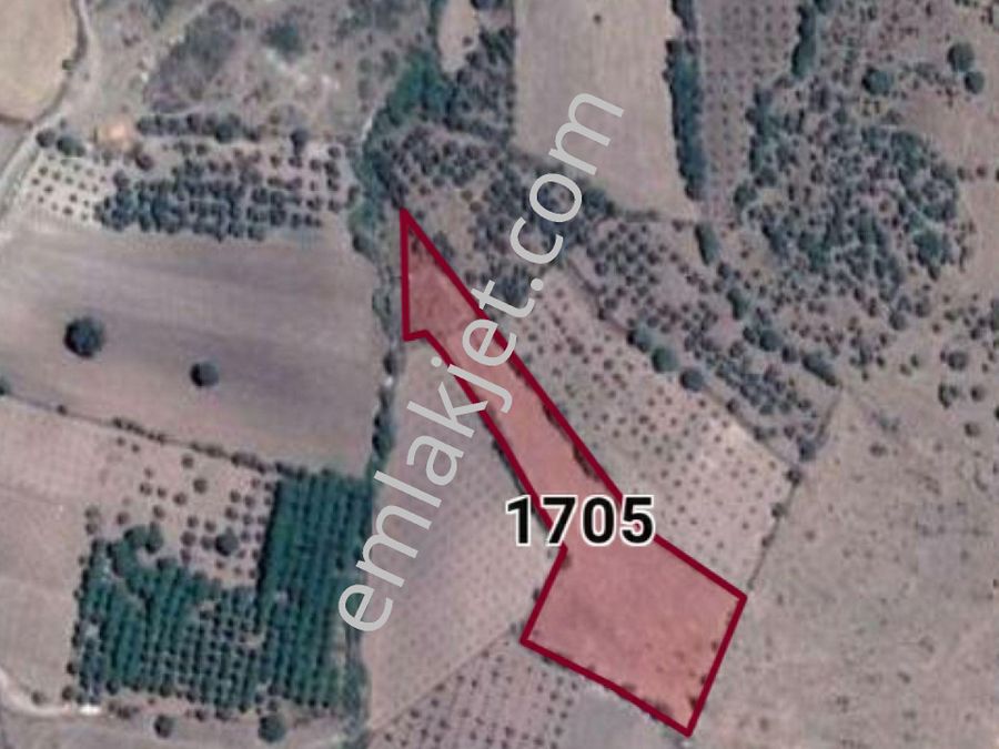 izmir bergama emlak ofisinden satilik arsa sayfa 12 emlakjet