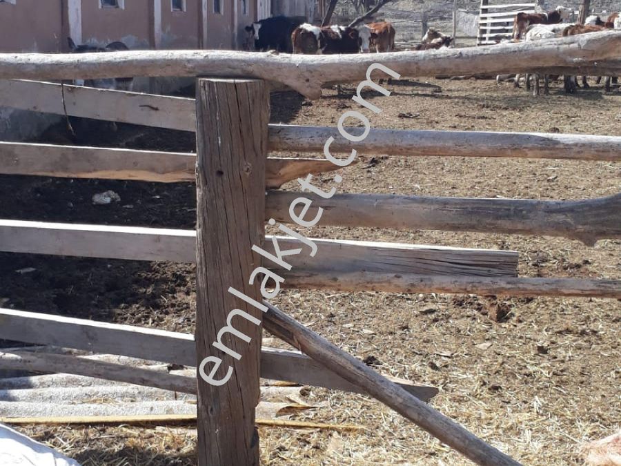 cankiri satilik ev ilanlari ve fiyatlari cankiri satilik ev ilanlari ve fiyatlari