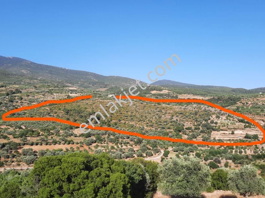 bozdogan amasya mahallesi satilik arsa emlakjet