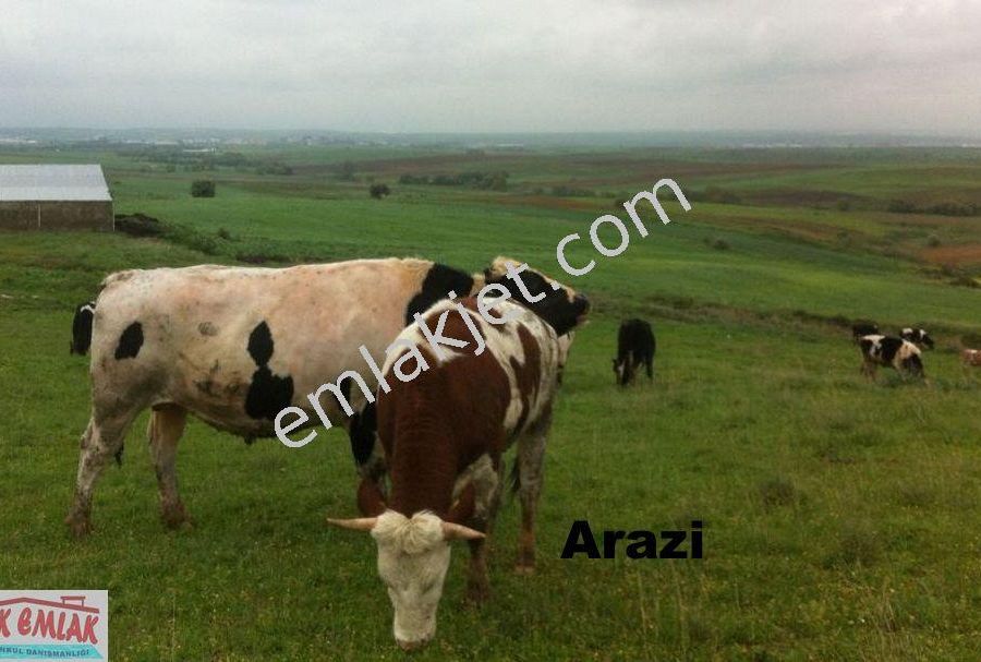 yozgat bogazliyan satilik arsa emlakjet