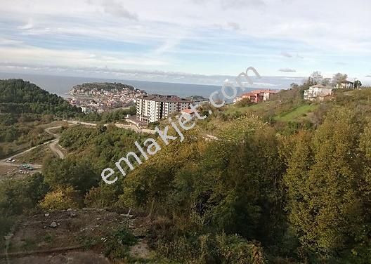 bartin amasra satilik arsa fiyatlari ve ilanlari