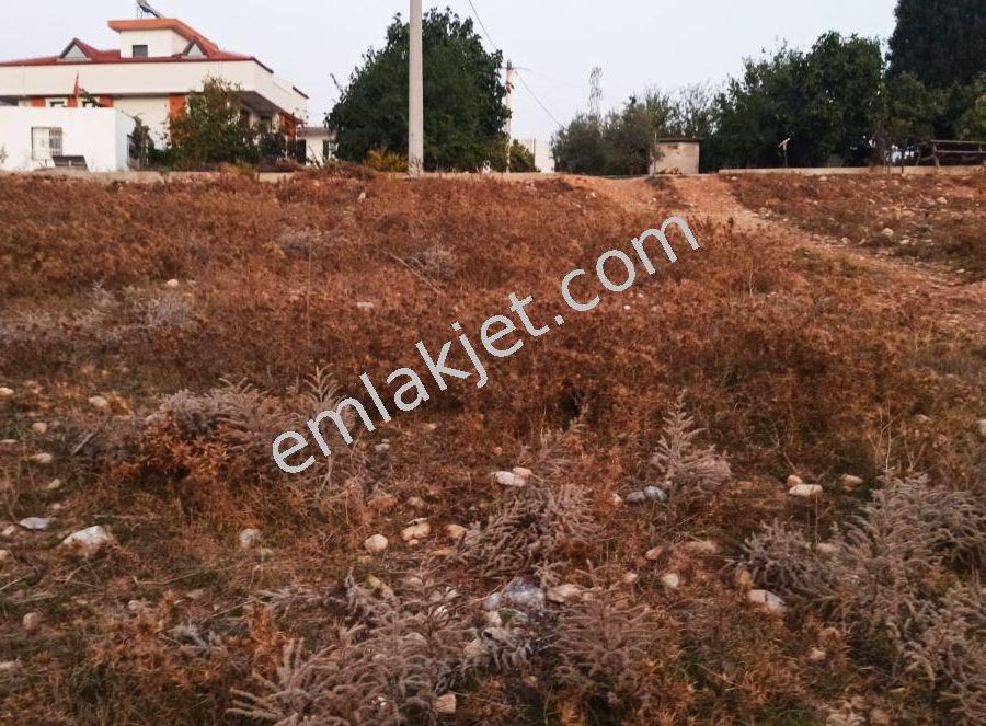 Mugla Milas Becin Mahallesi Satilik Arsa Fiyatlari Ve Ilanlari