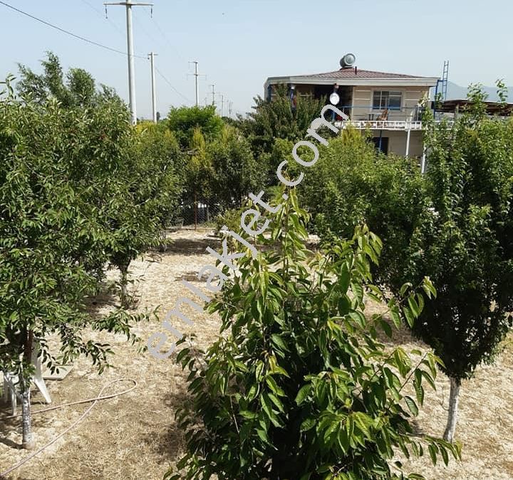 izmir satilik ciftlik ilanlari ve fiyatlari