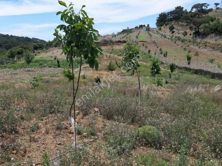 seferihisar golcuk mahallesi satilik arsa emlakjet