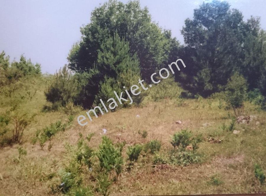 Bolu Satilik Arsa Emlakjet