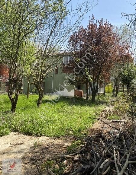 tekirdag saray satilik mustakil ev ilanlari ve fiyatlari
