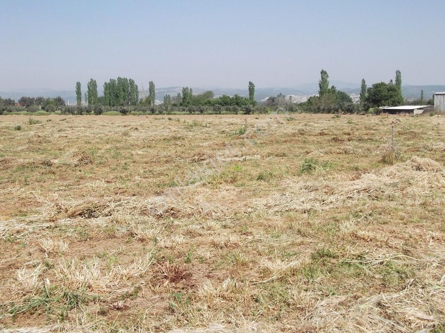 izmir seferihisar satilik arsa sayfa 9 emlakjet