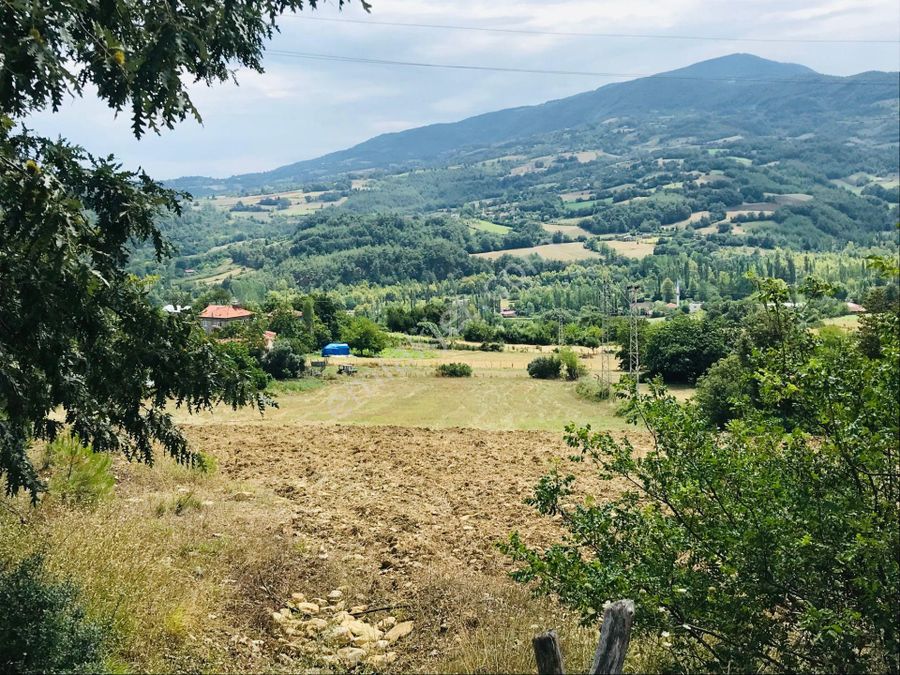 sinop gerze sahibinden satilik arsa emlakjet