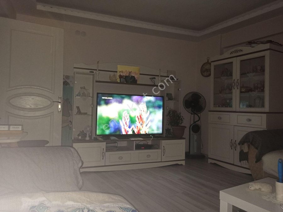 aydin soke satilik daire ilanlari ve fiyatlari aydin soke satilik daire ilanlari ve fiyatlari