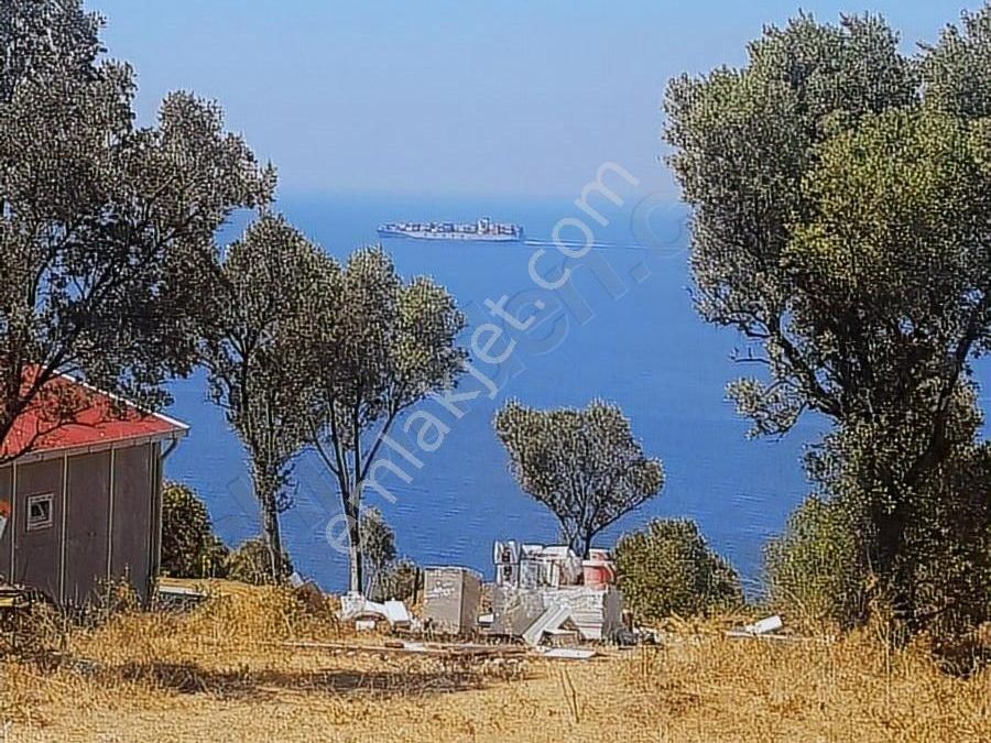Cinarcik Esenkoy Bld Liman Mahallesi Satilik Konut Imarli Emlakjet
