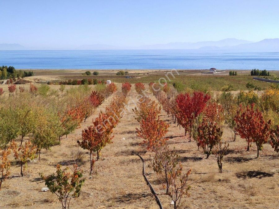 bitlis ahlat satilik arsa ilanlari ve fiyatlari