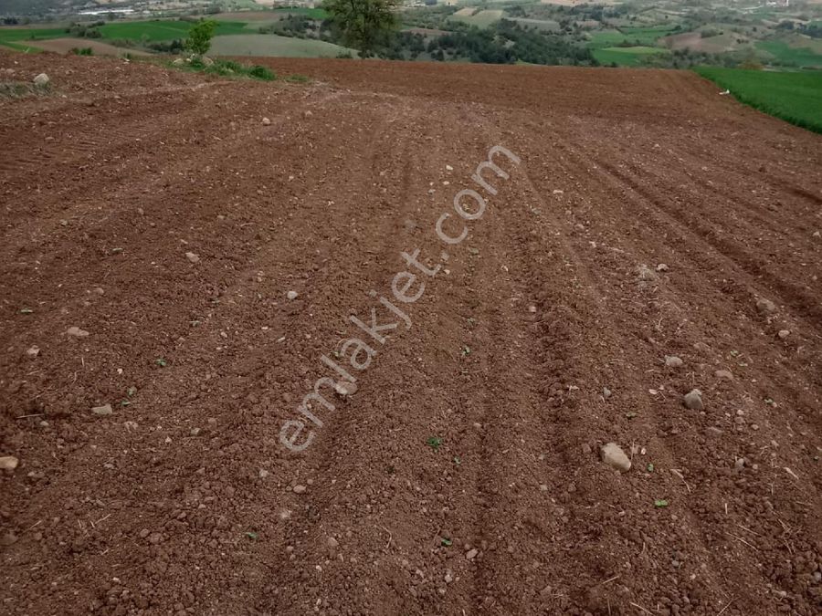 tokat erbaa satilik konut imarli emlakjet tokat erbaa satilik konut imarli emlakjet