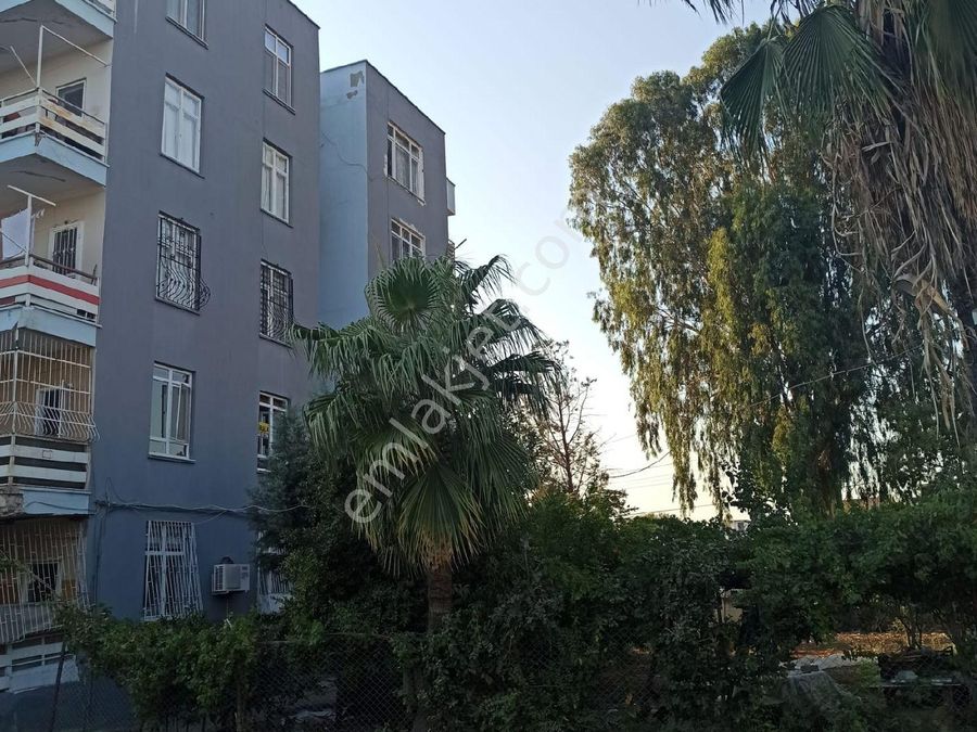 seyhan kavakli mahallesi kiralik daire emlakjet