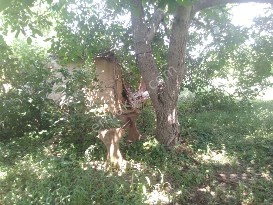 tekirdağ satılık köy evi