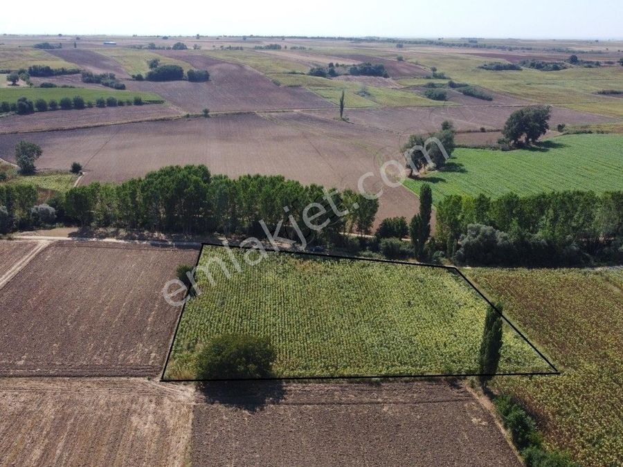 Sq9rsentberm