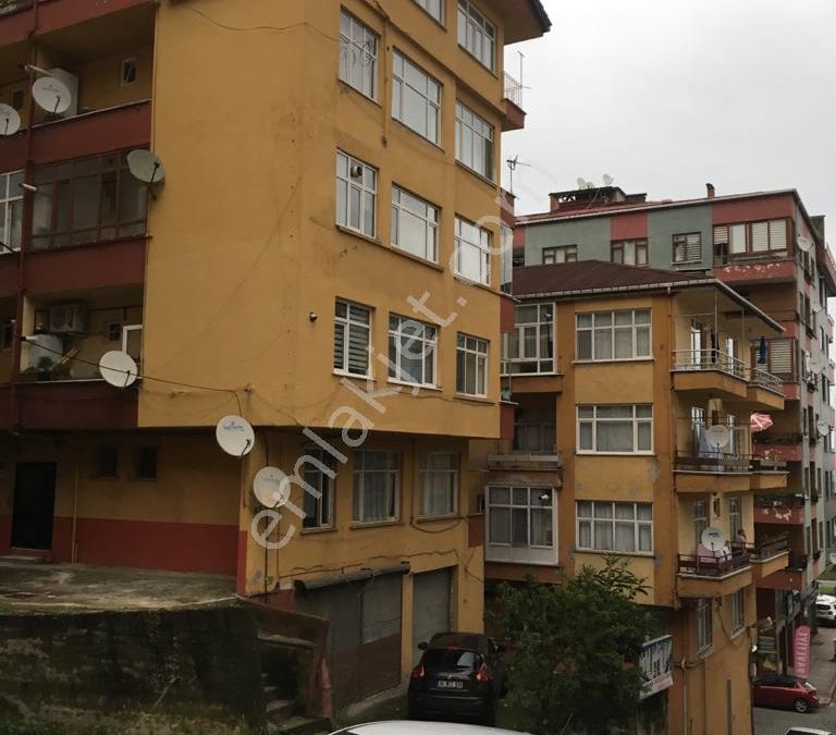Rize Merkez Taslidere Mahallesi Kiralik Daire Ilanlari Ve Satilik Ev Fiyatlari