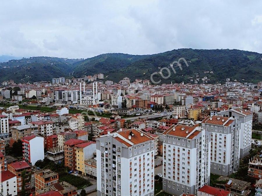trabzon arakli satilik daire ilanlari ve trabzon arakli kiralik ev fiyatlari