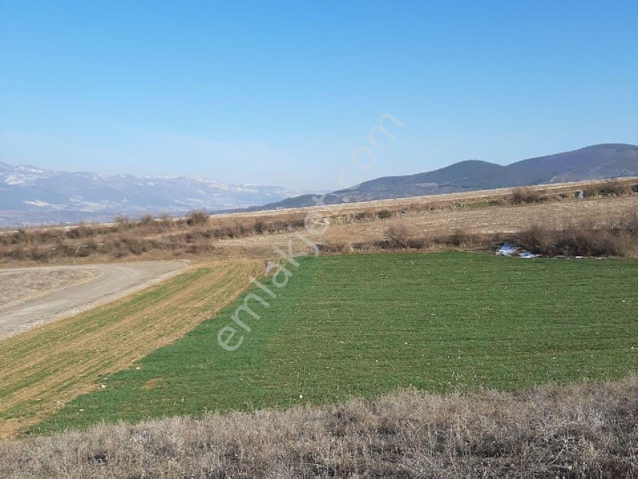 erbaa kelkit mahallesi satilik tarla emlakjet erbaa kelkit mahallesi satilik tarla emlakjet