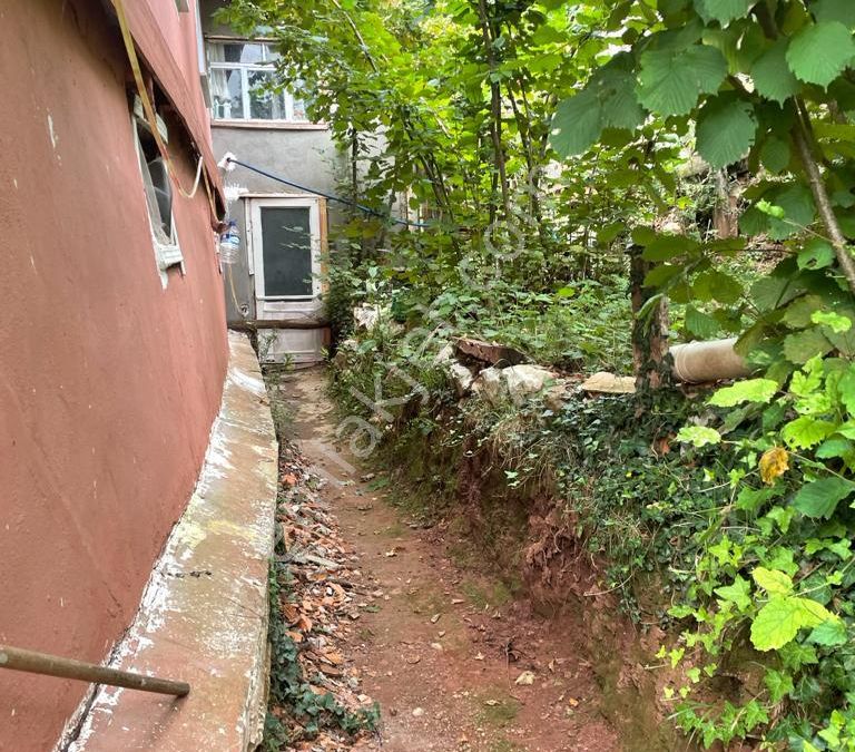 kastamonu cide satilik mustakil ev ilanlari ve fiyatlari